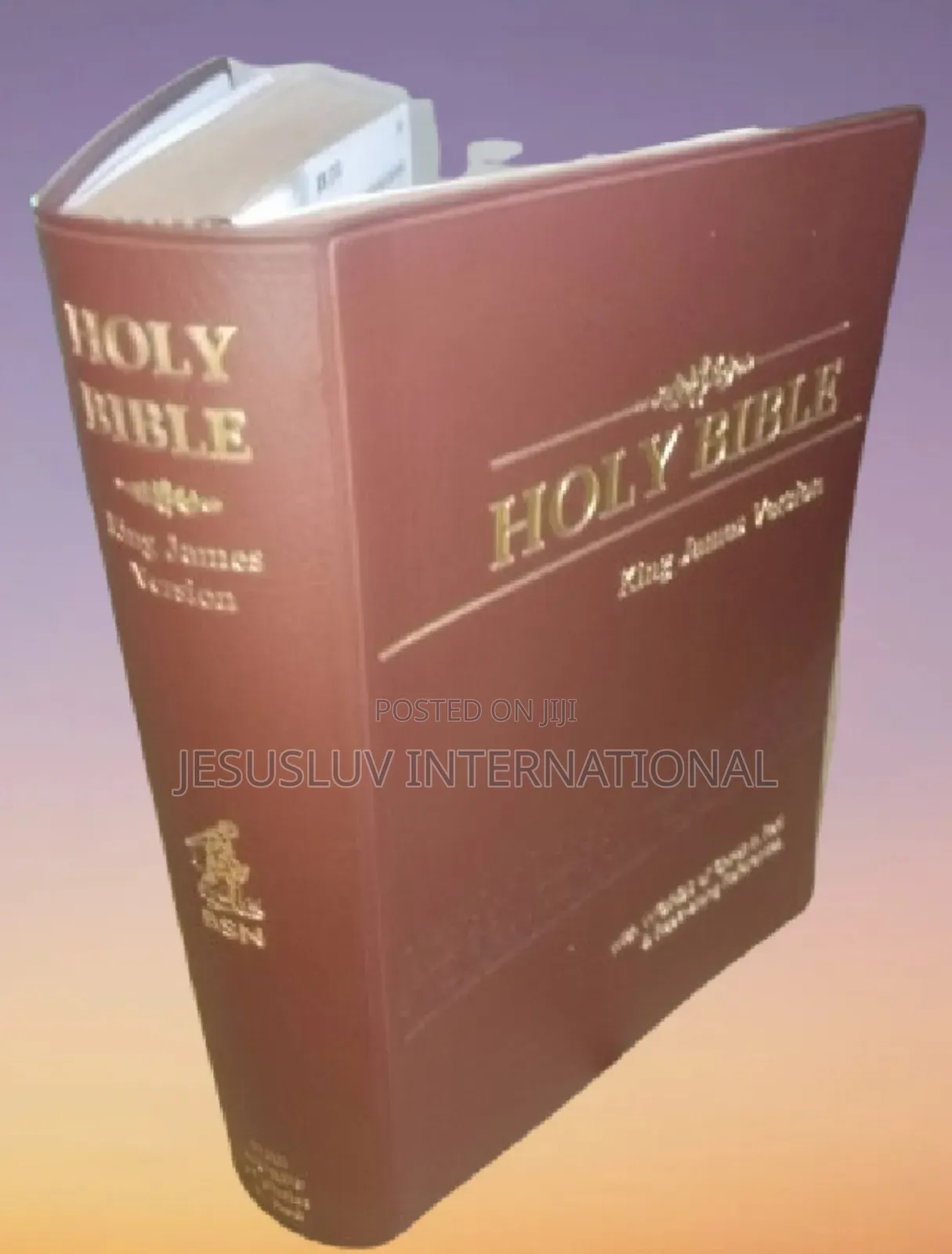 Holy Bible KJV Reference,End-of-Verse References Bible Brown Leather