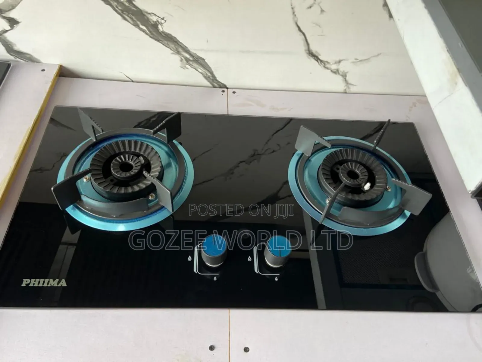 Luxury Big 2 Burner Gas