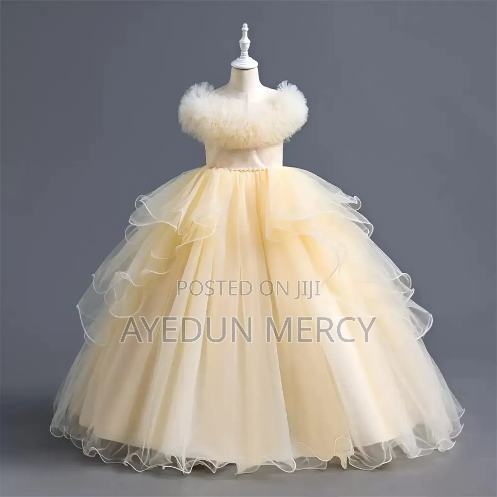 Princesses Luxury Gown