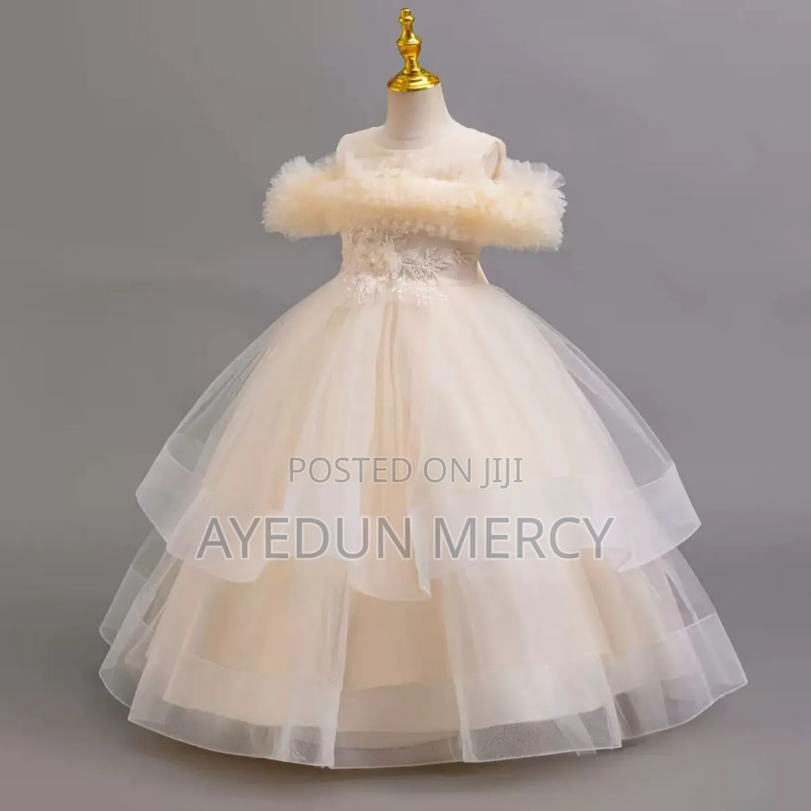 Luxury Princesses Ball Gown