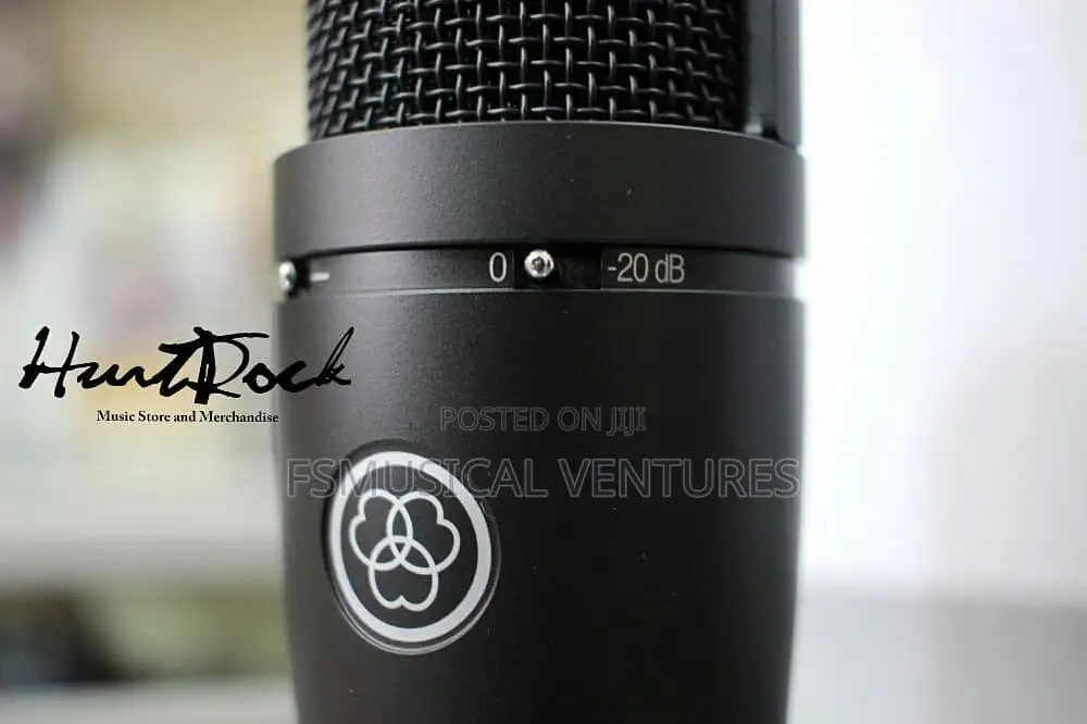 Akg P120 High Performance Condenser Microphone