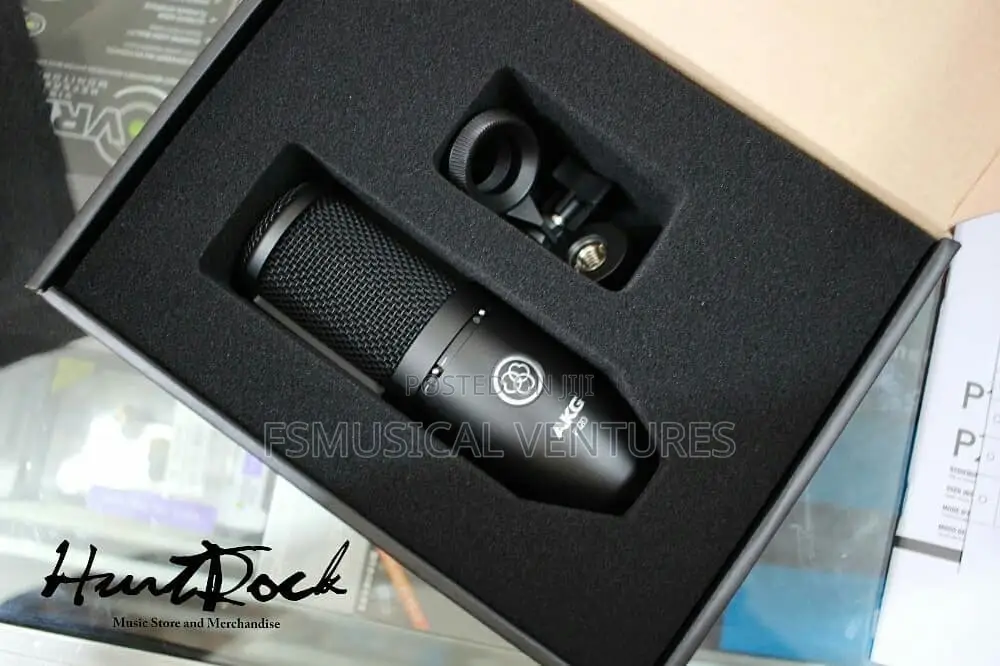 Akg P120 High Performance Condenser Microphone