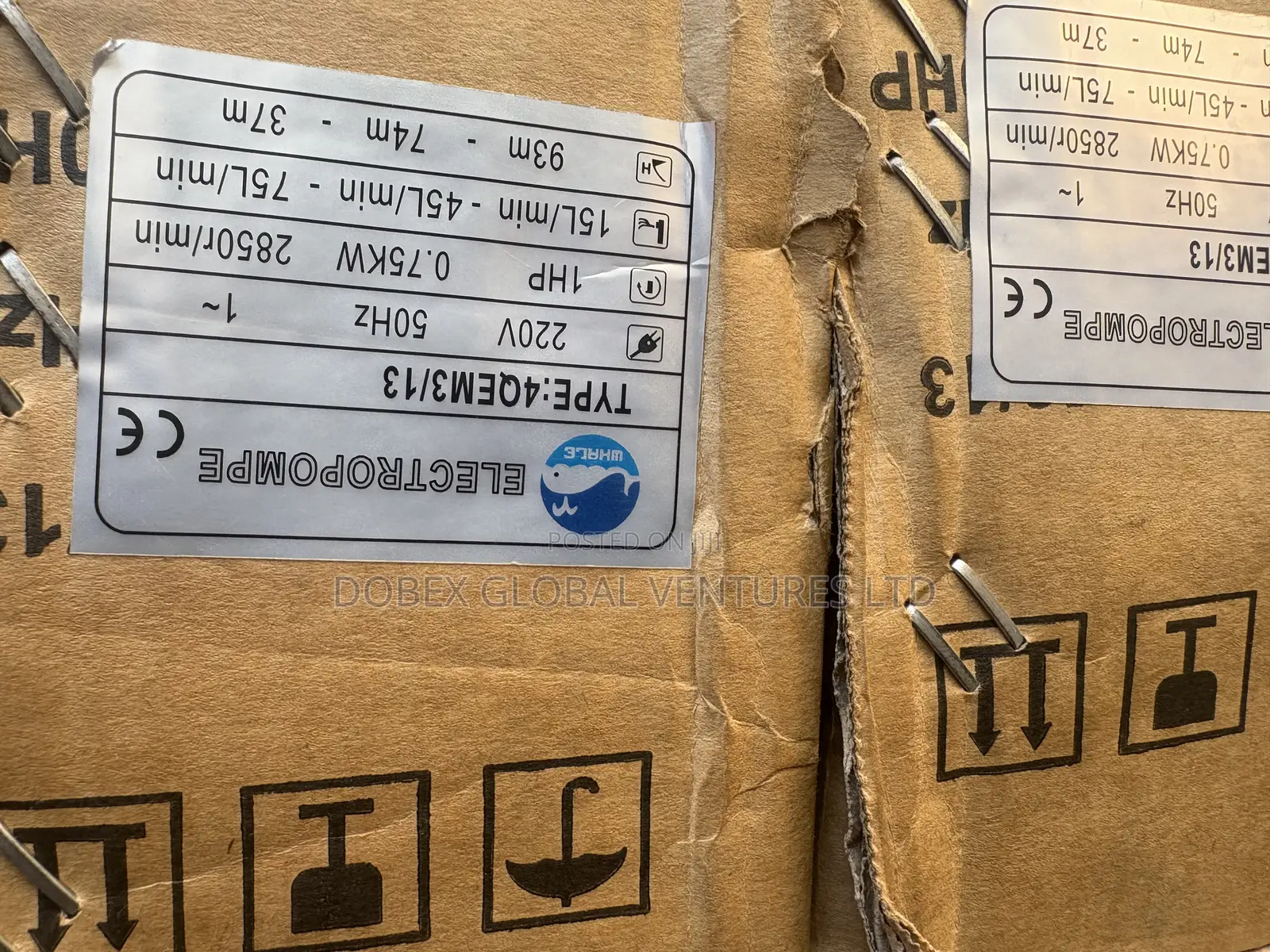 1hp Whale Submersible Pump