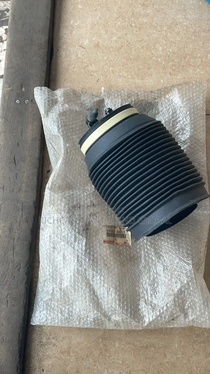 Toyota Sequoia 2006 Lifting Pump/ Shock Absorber Baloon