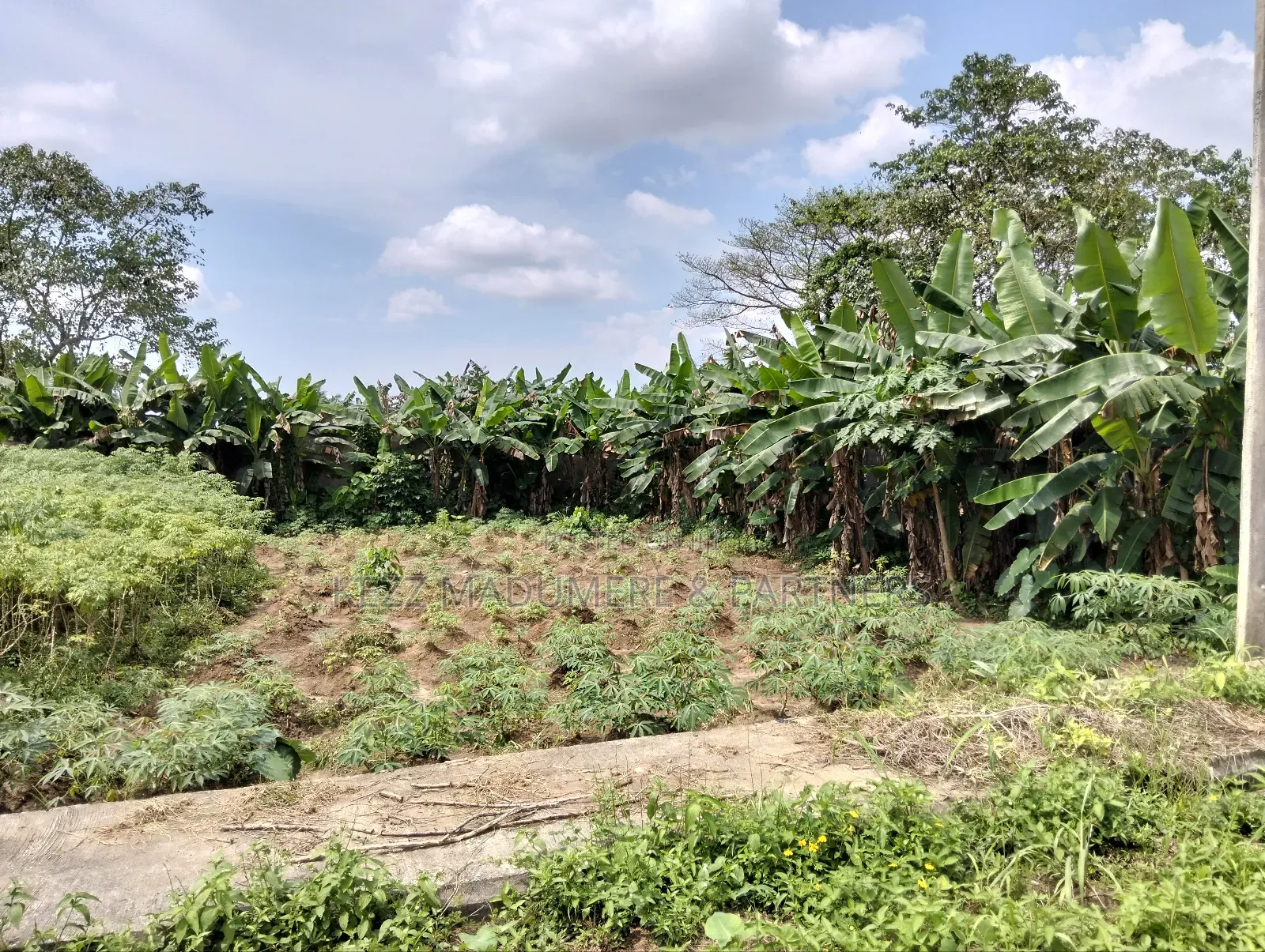 For Sale : 11⁄4 Plot at Gra, Phase 8 Eliozu Port Harcourt