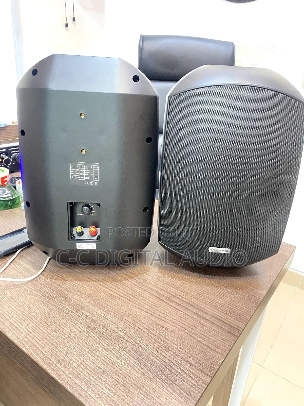 Lucky Tone Waterproof Outdoor Speaker