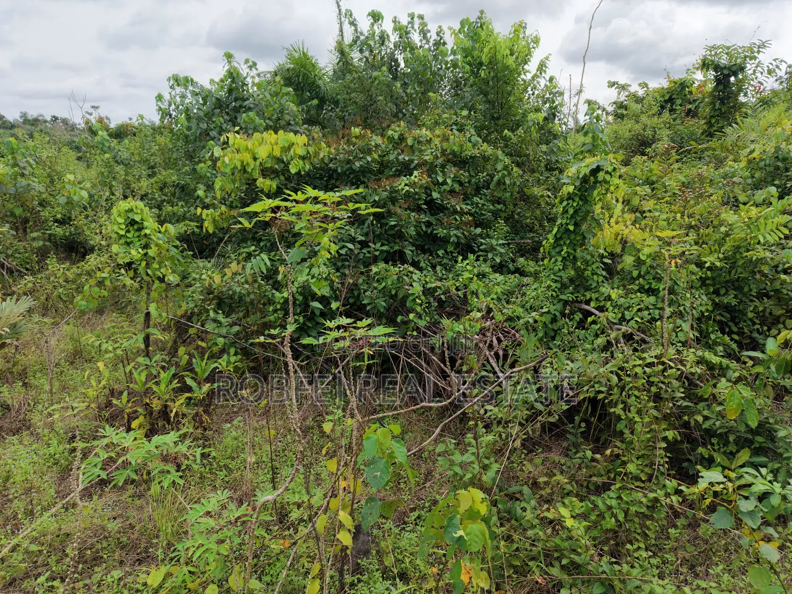 Prime Real Estate Plots for Investment!