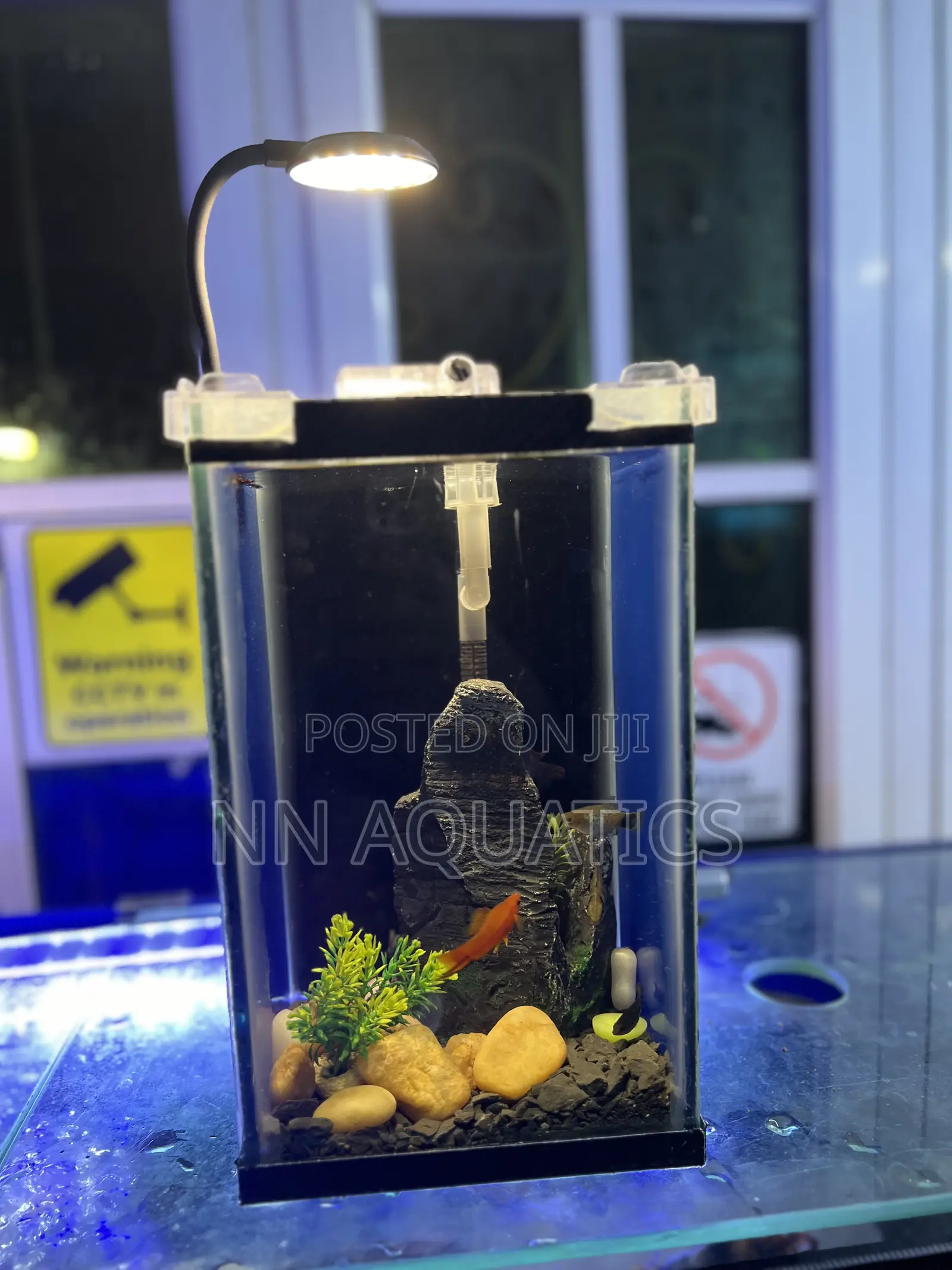 Nano Aquarium