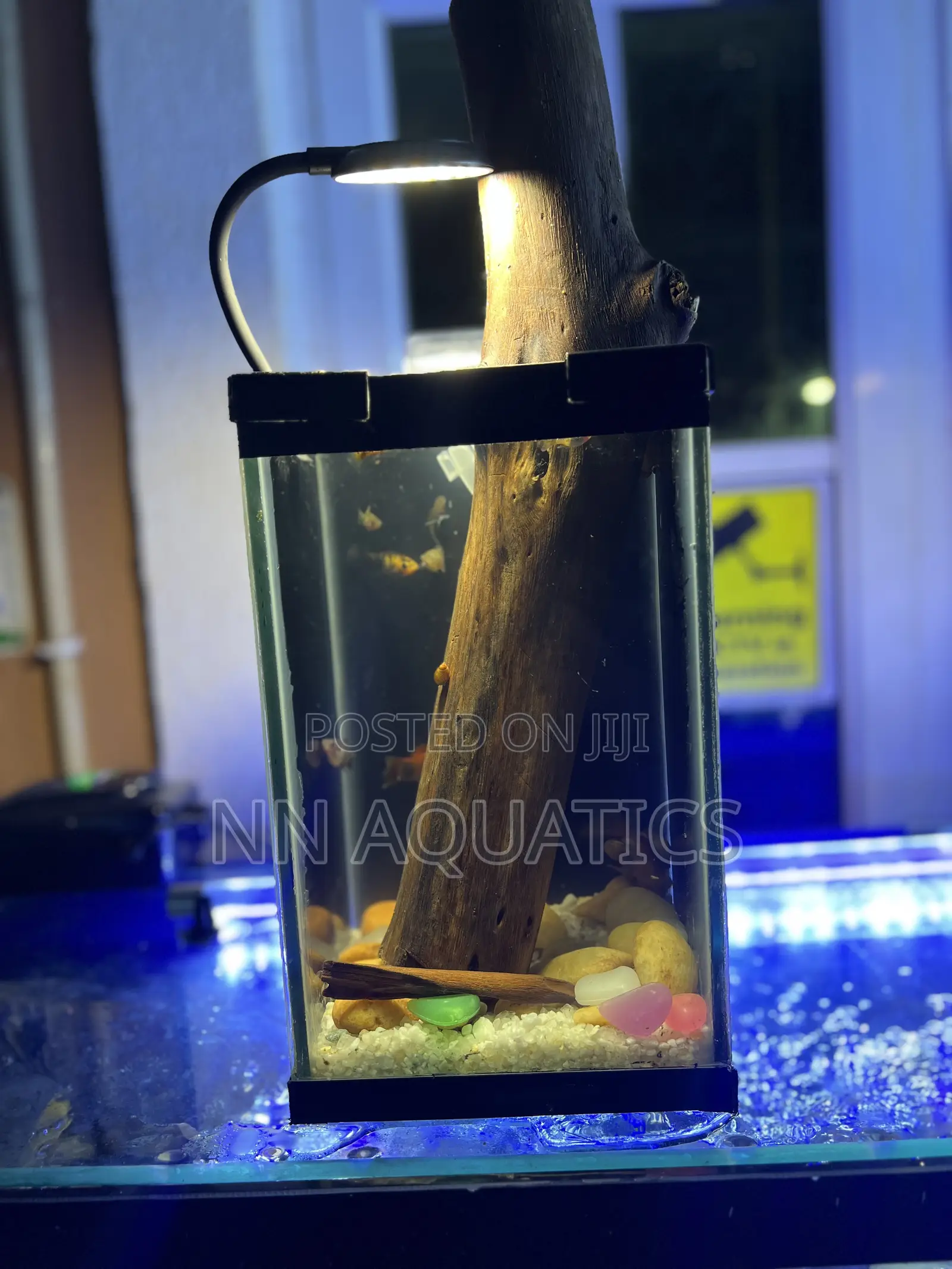 Nano Aquarium