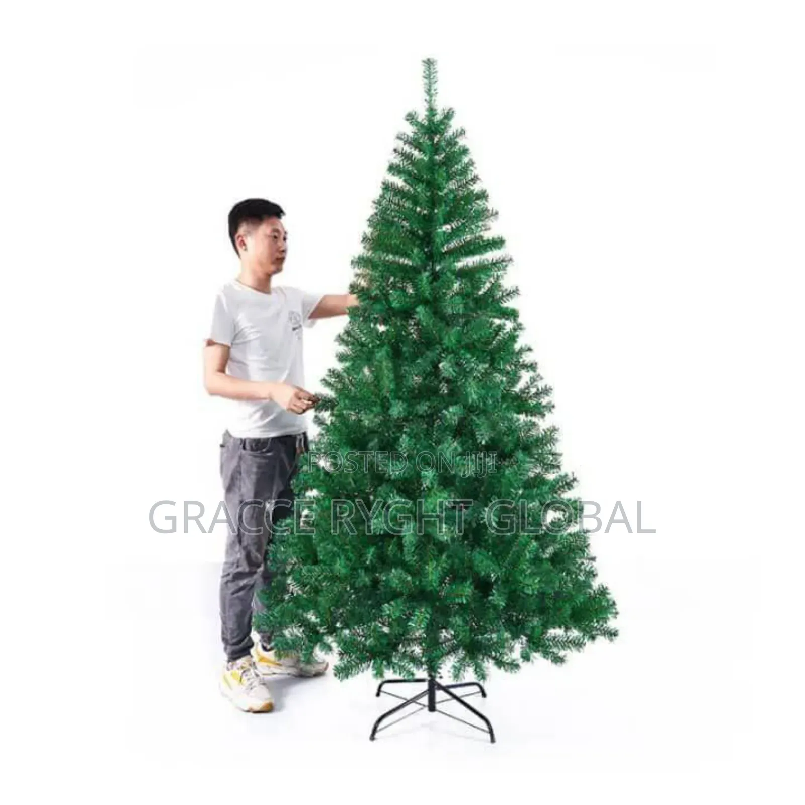 7 Foot Conventional Christmas Tree