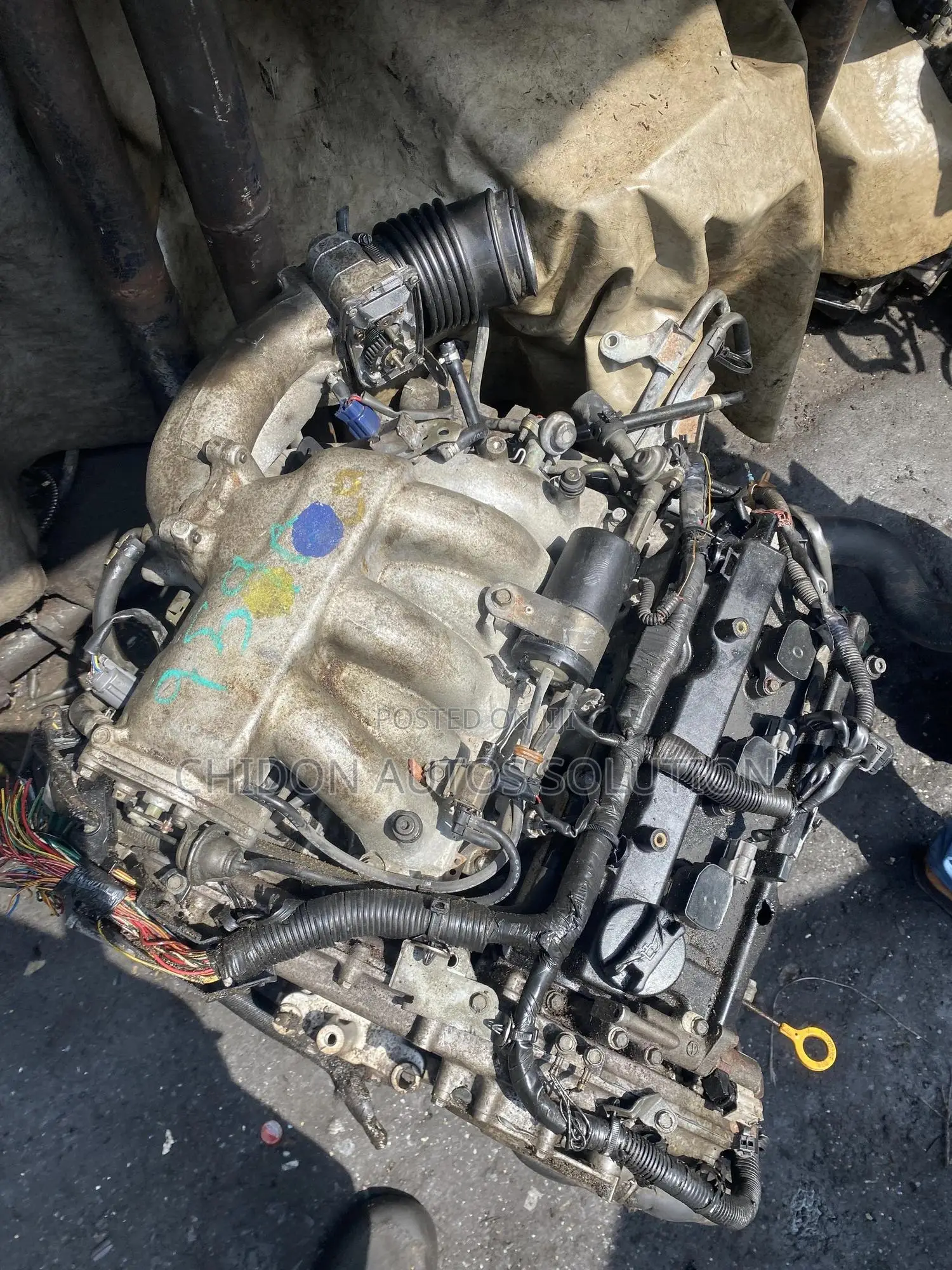 Nissan Maxima 2005 Engine