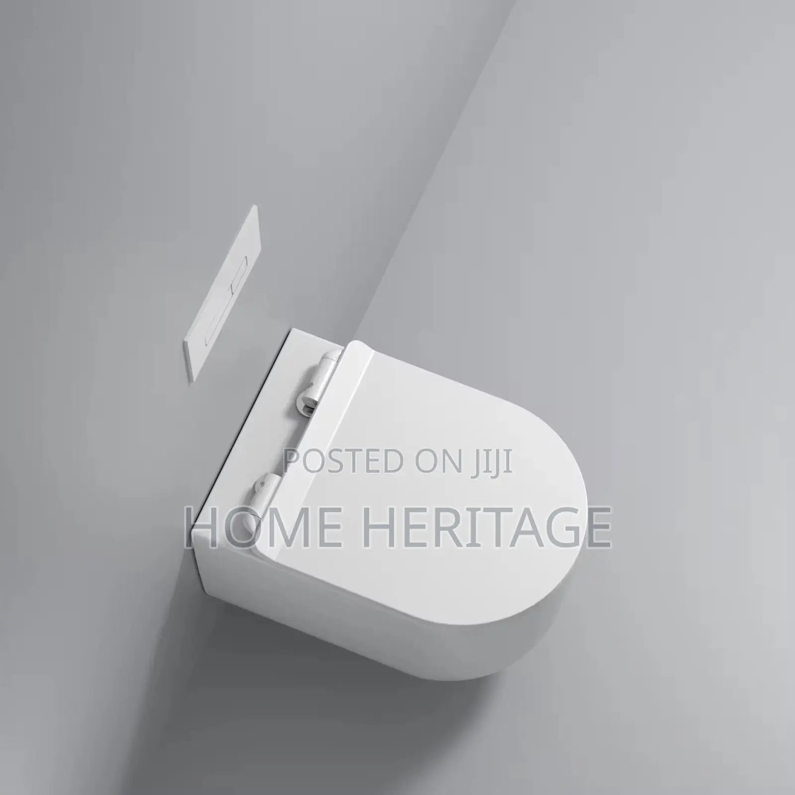 Concealed Toilet