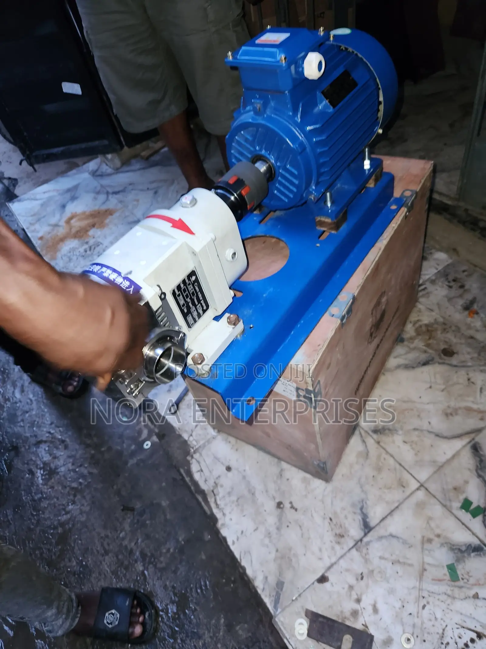 Stainless Steel Rotary Lobe Pump 5hp (Inlet 2 Inches Outlet 2 Inches)