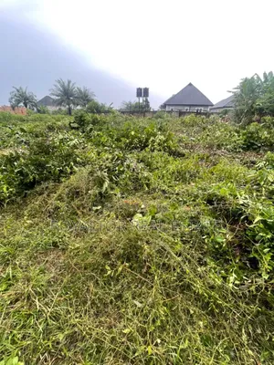 100/100ft for Sale (One Plot)- Obagie, Sapele Road