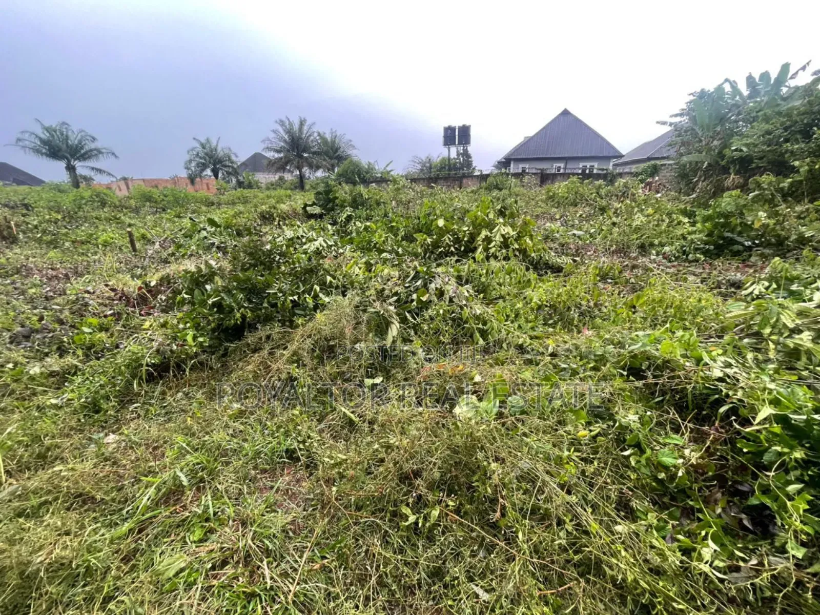 100/100ft for Sale (One Plot)- Obagie, Sapele Road