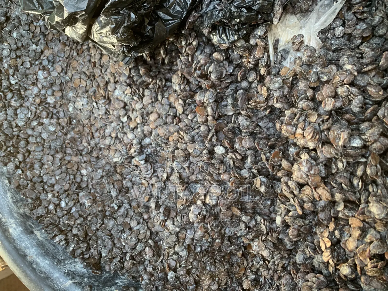 Iru/ Locust Beans