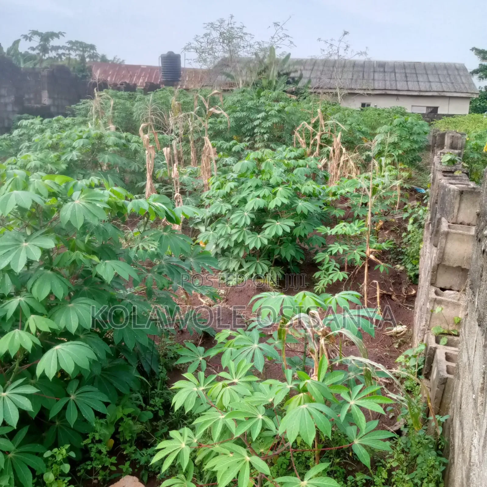 More Than Half A Plot Measure 30ft By 130ft In A Serene Environ