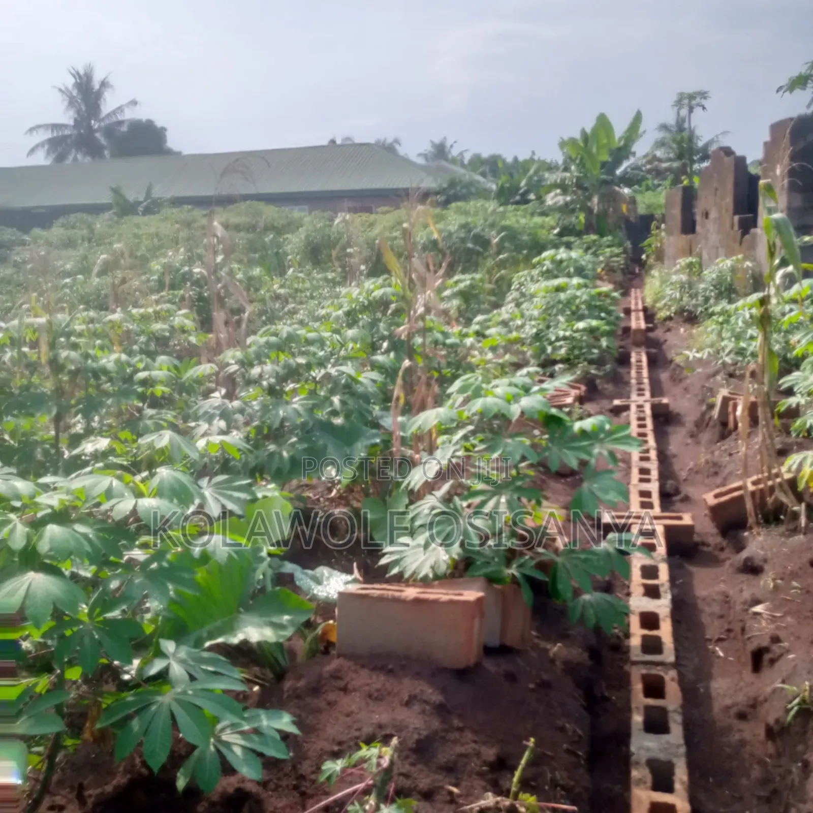 More Than Half A Plot Measure 30ft By 130ft In A Serene Environ