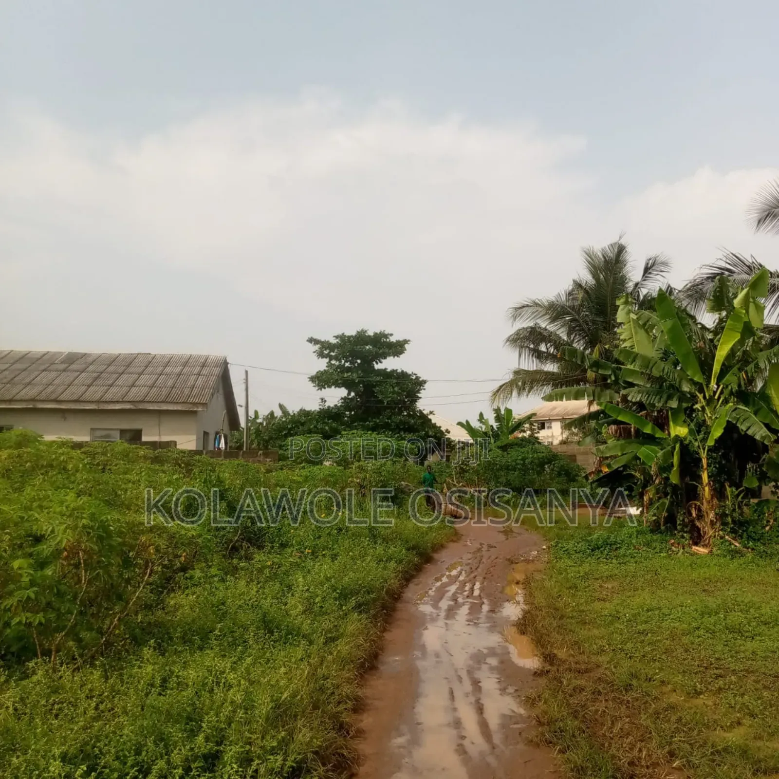 More Than Half A Plot Measure 30ft By 130ft In A Serene Environ