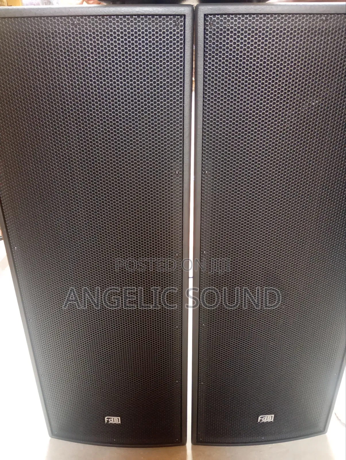 FDB Professional Speaker Ft215311