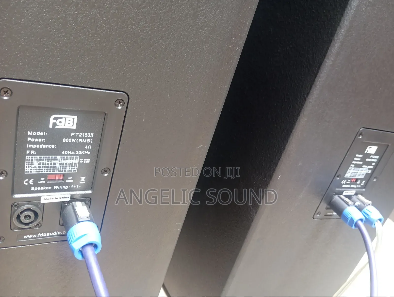 FDB Professional Speaker Ft215311