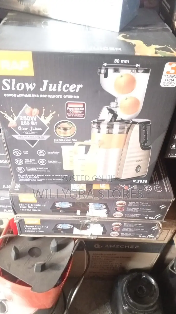 Raf 250watts Slow Juicer Fruit Extractor