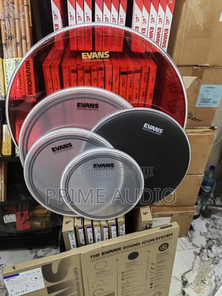 Evans Ec2 Drum Vellum / Drum Head