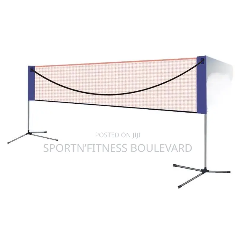 Standard Badminton Set and Net