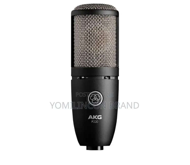 Akg Pro Audio P220 High-Performance Condenser Microphone