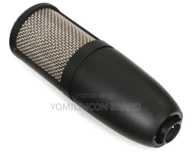 Akg Pro Audio P220 High-Performance Condenser Microphone