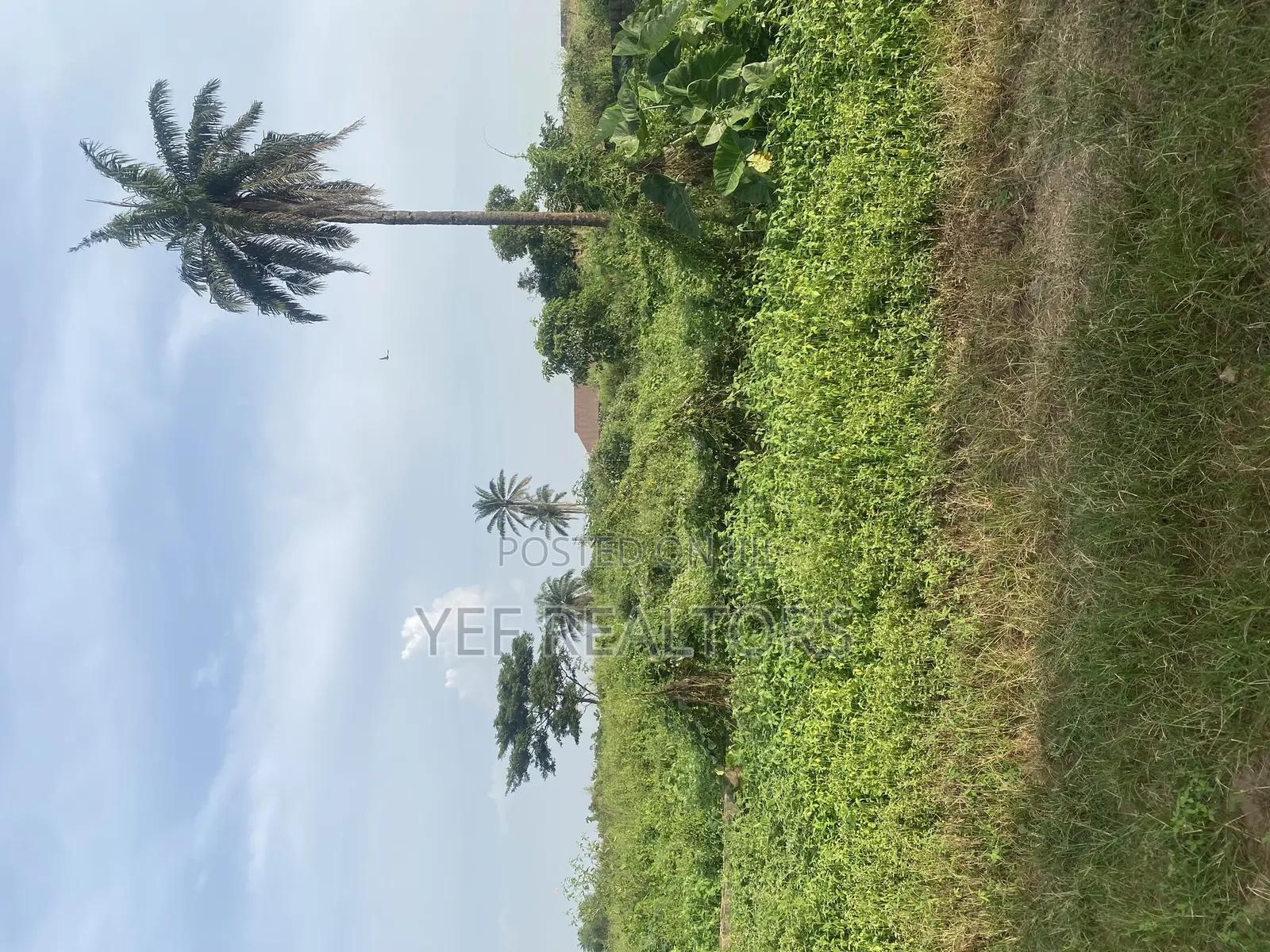 One Plot of Land for Sale at Awosun. 5 Min Work to the Express