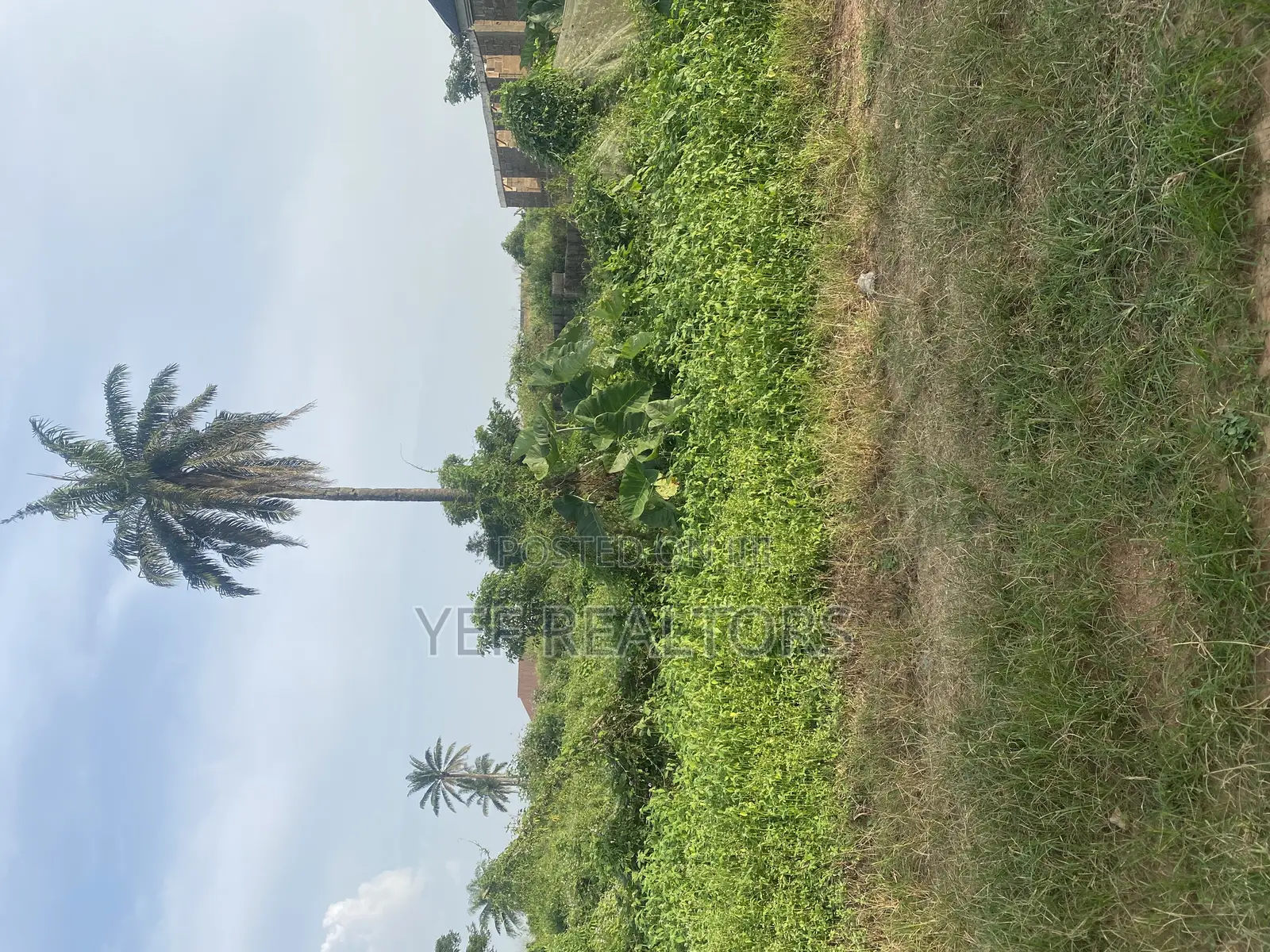 One Plot of Land for Sale at Awosun. 5 Min Work to the Express
