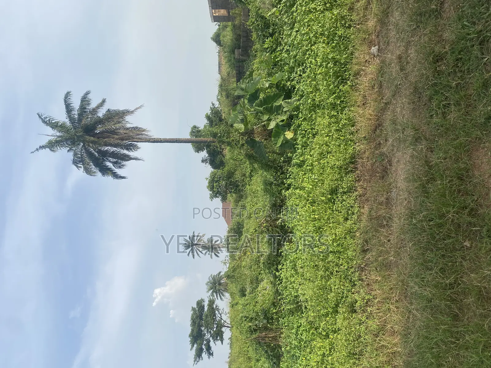 One Plot of Land for Sale at Awosun. 5 Min Work to the Express