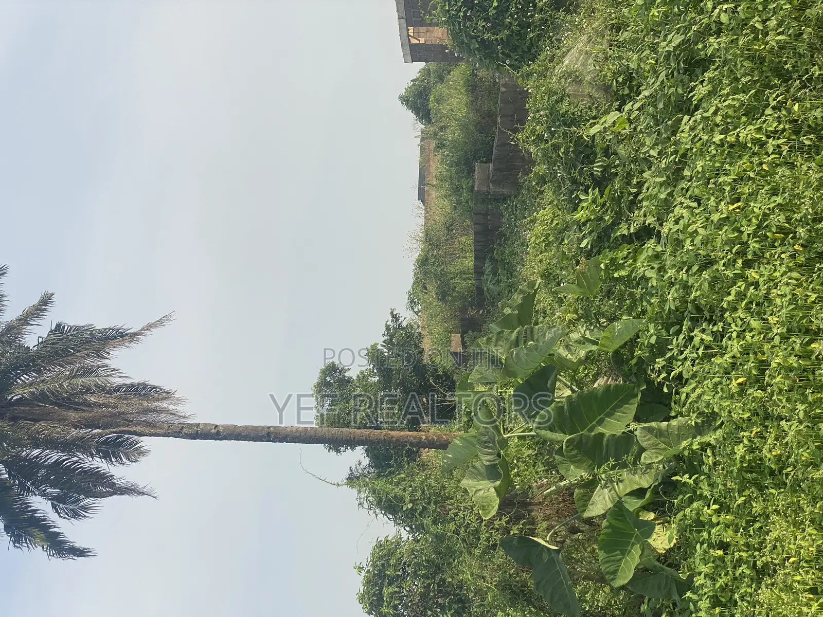 One Plot of Land for Sale at Awosun. 5 Min Work to the Express