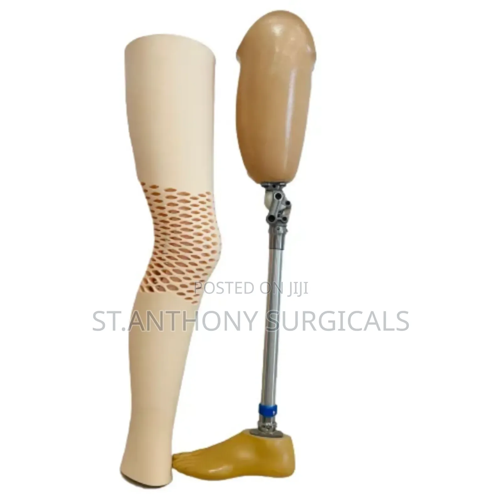 Artificial Legs, Prosthetics