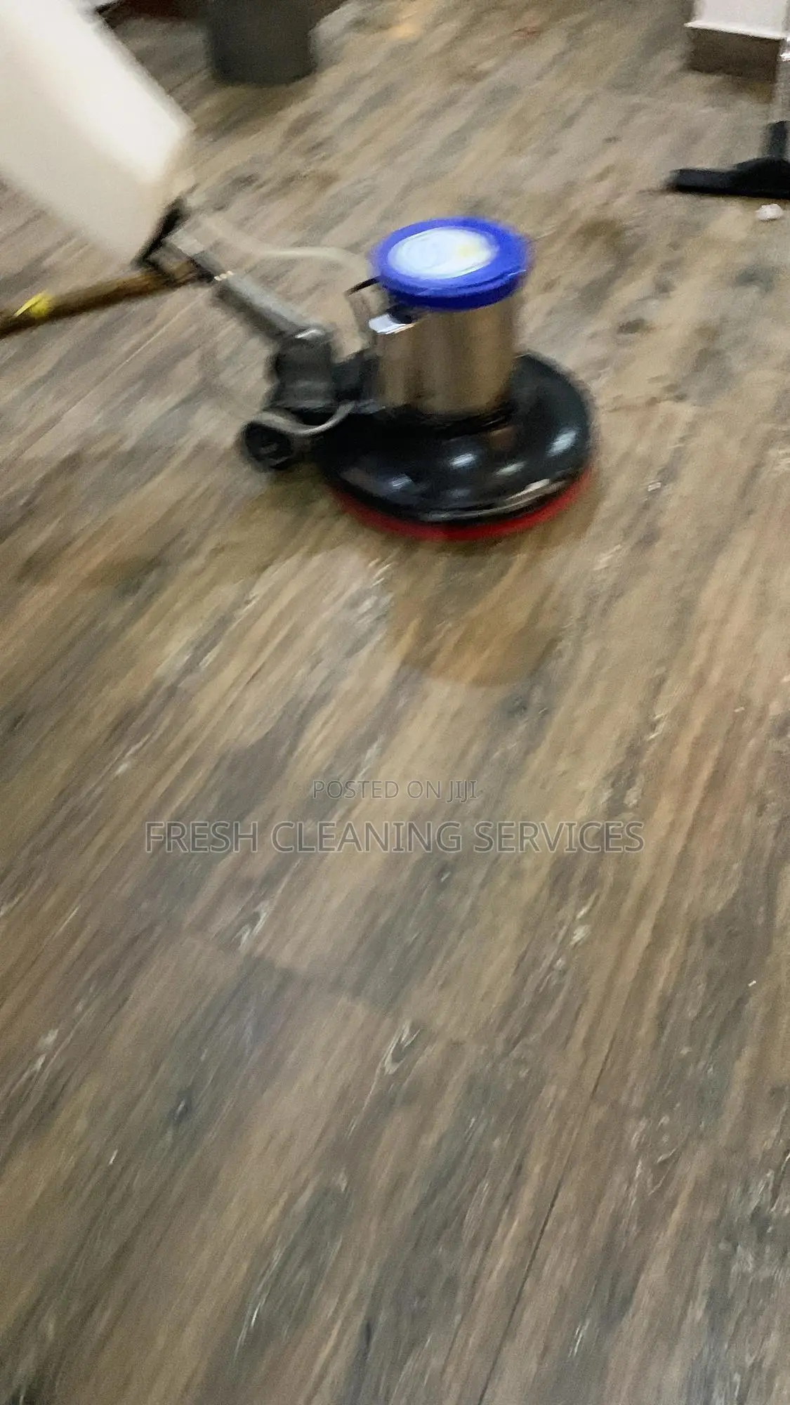 We Professionally Clean Your Upholstery, Carpets, All Cleaning Needs