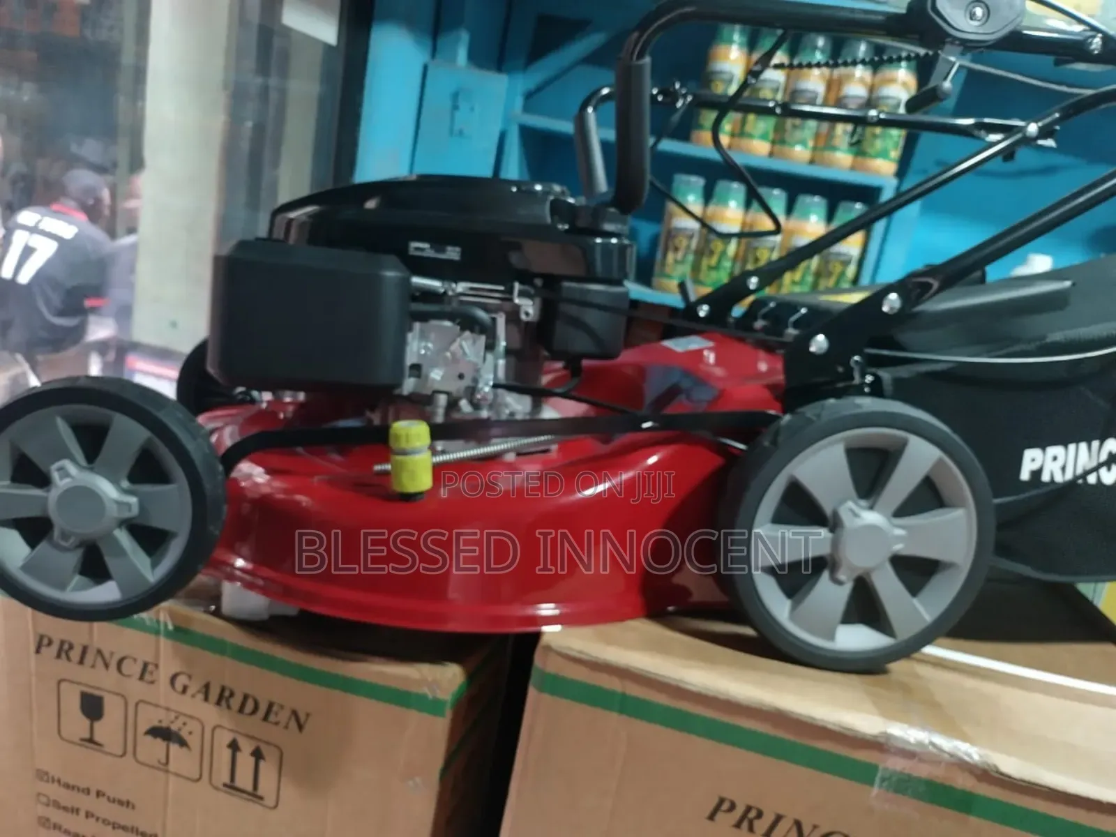 6hp Land Mowa for Cutting Grass