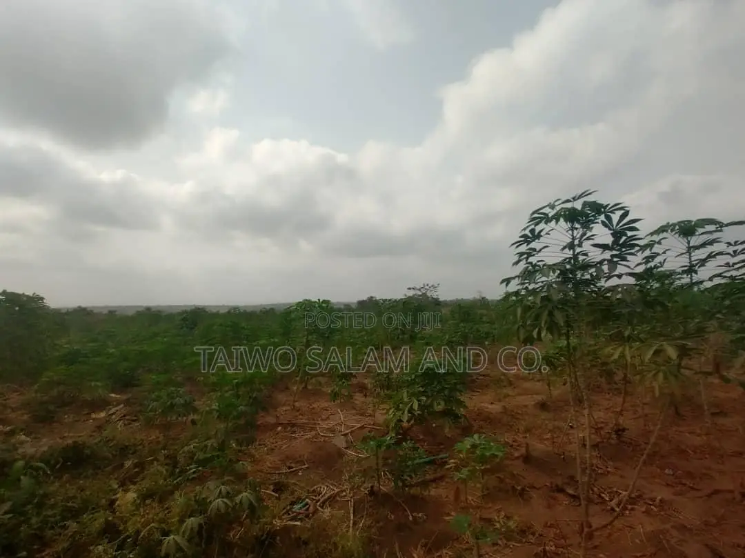 30 Acres Farmland With Cofo