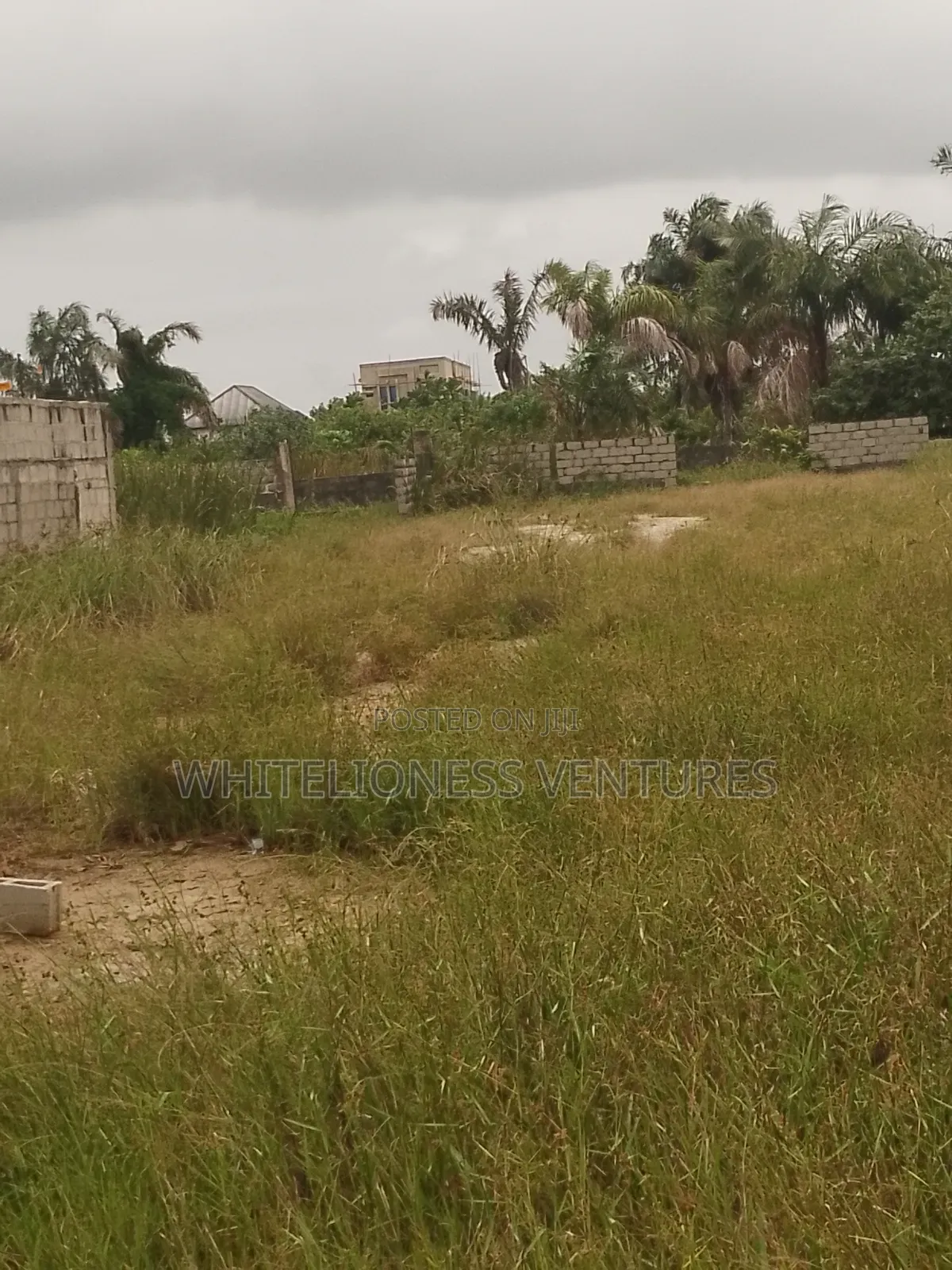 8 Plots of Palm Plantation for Sale in Ubulukwu Asaba