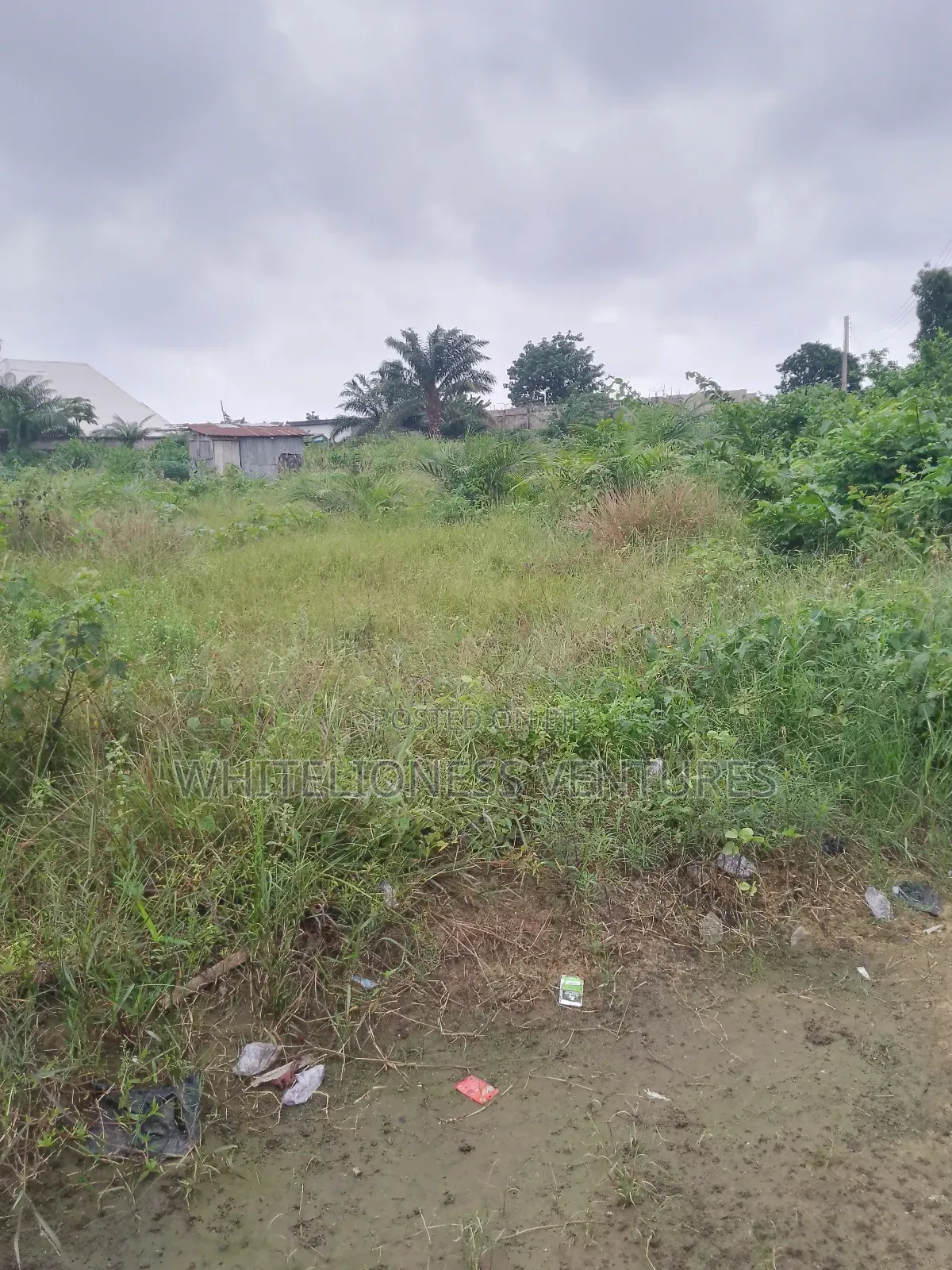Buy 6 Plots And Get One For Free In Aniocha North