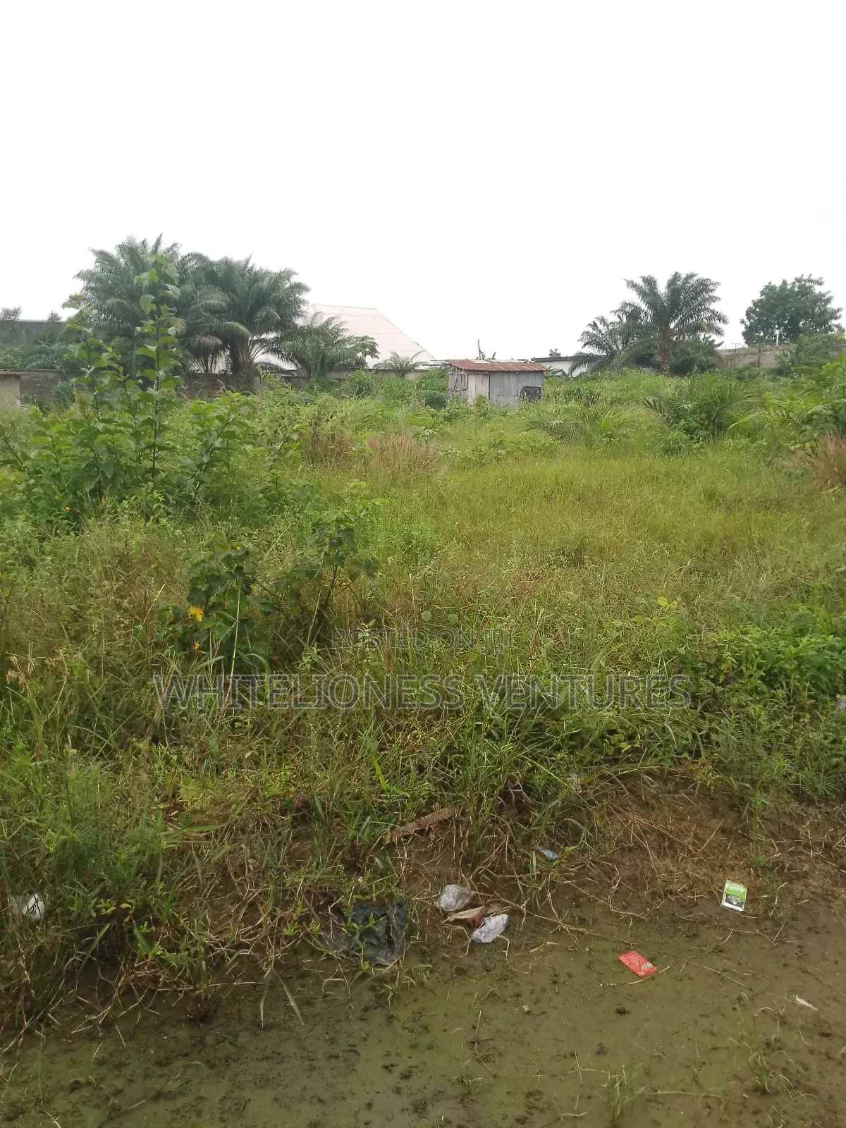 Buy 6 Plots And Get One For Free In Aniocha North