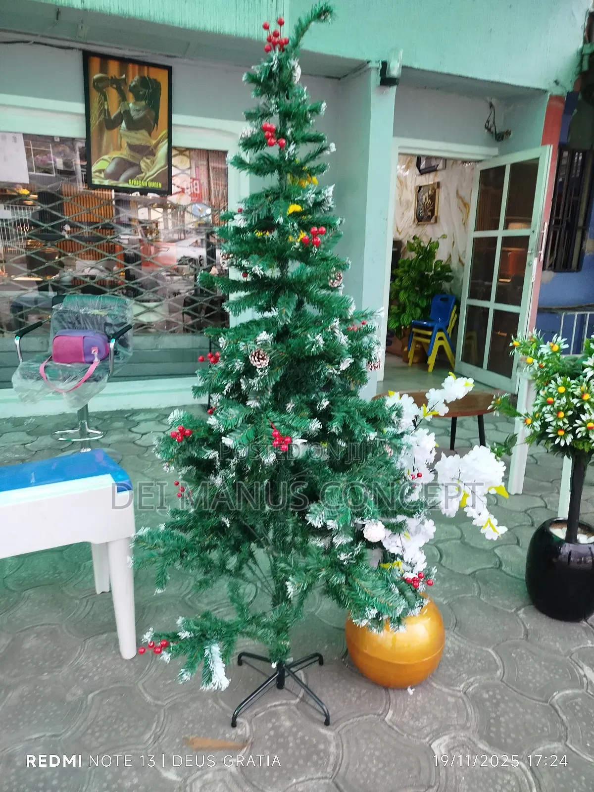 Christmas Tree for Festive Season