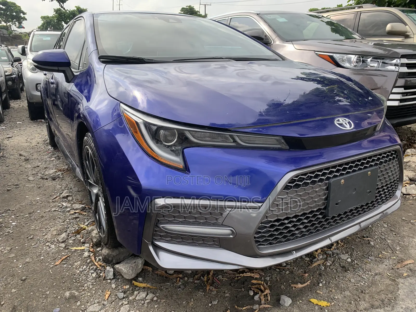 Toyota Corolla 2020 Blue