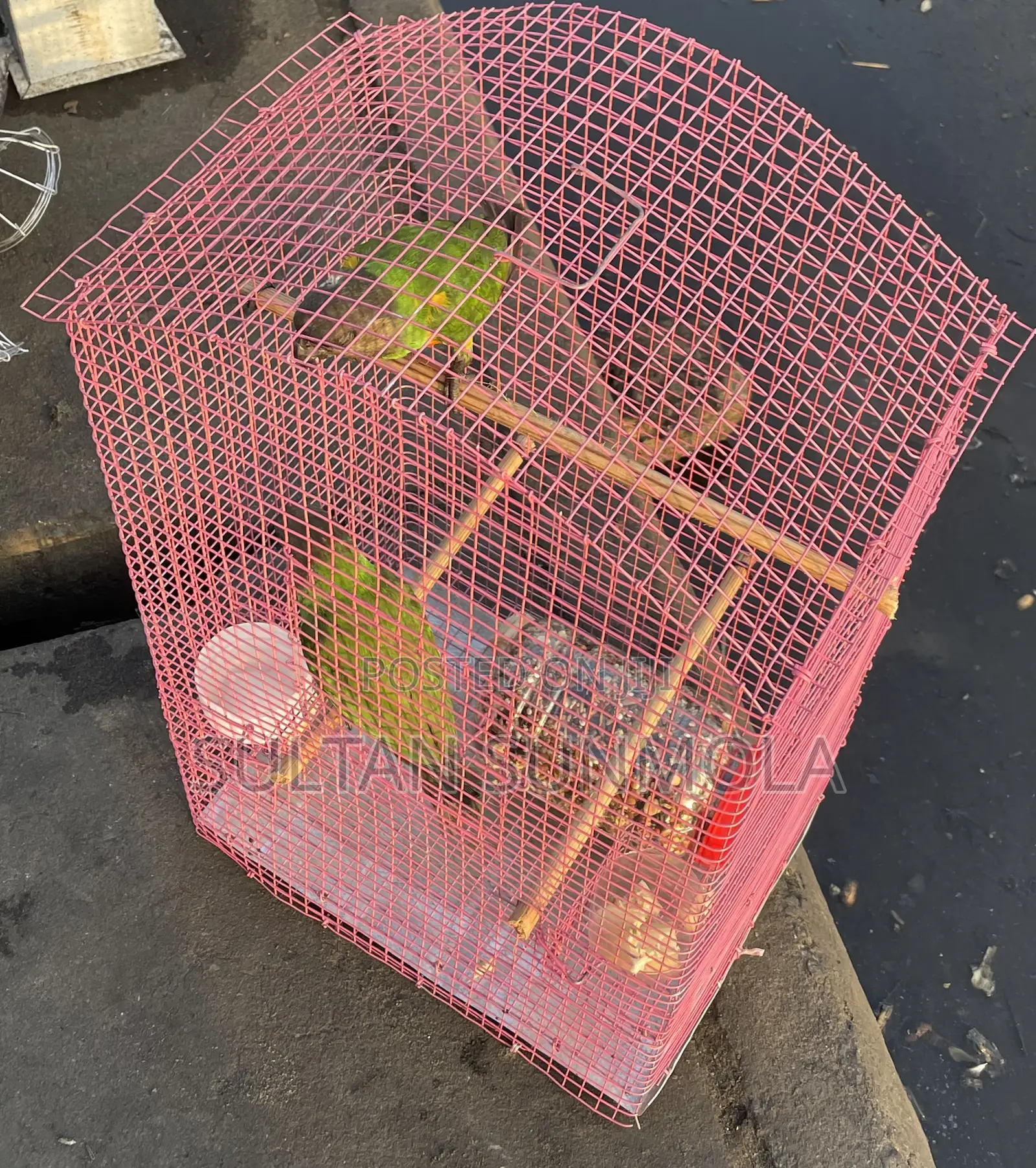Parrot Cages