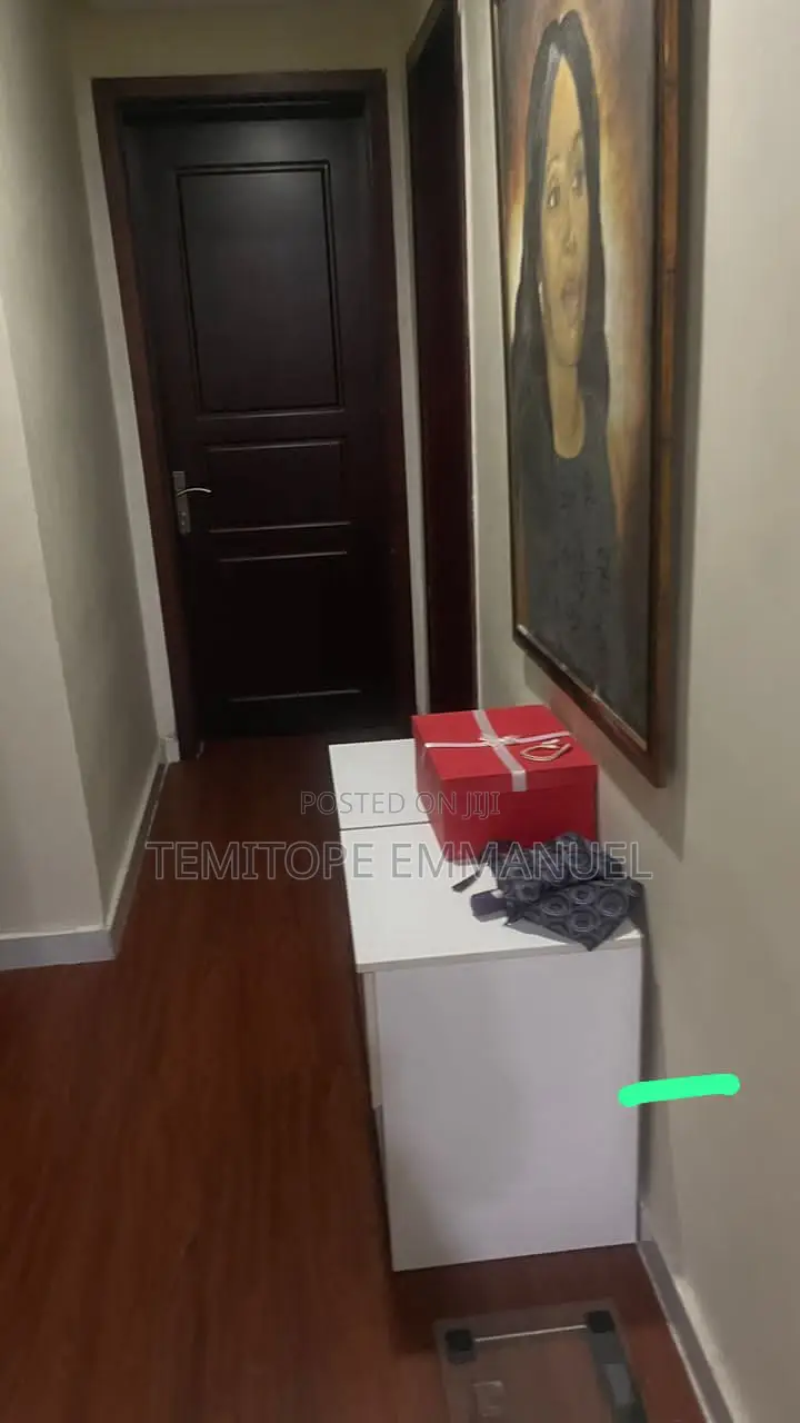 Furnished 3bdrm Apartment in Off Banana Island for sale