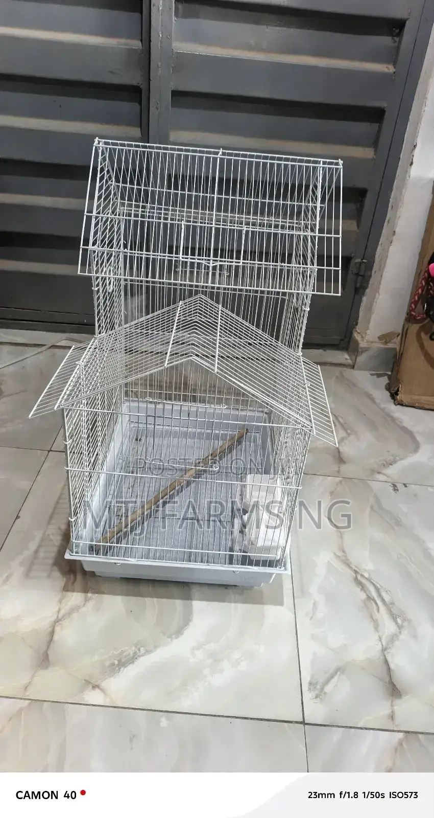 Foriegn Beautiful Cages for Birds