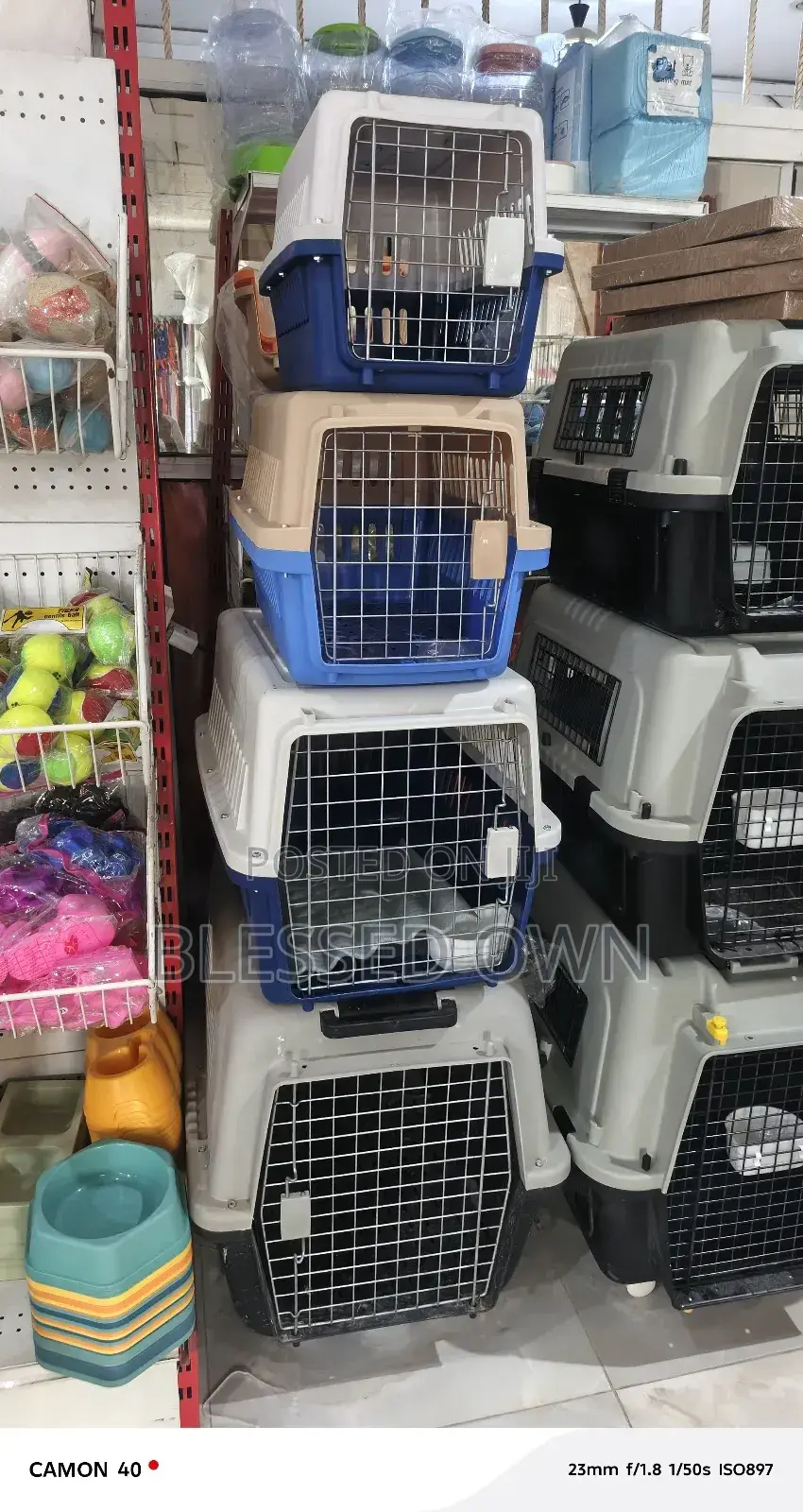 Carrier for Dog, Cats, Monkey and Other Animals