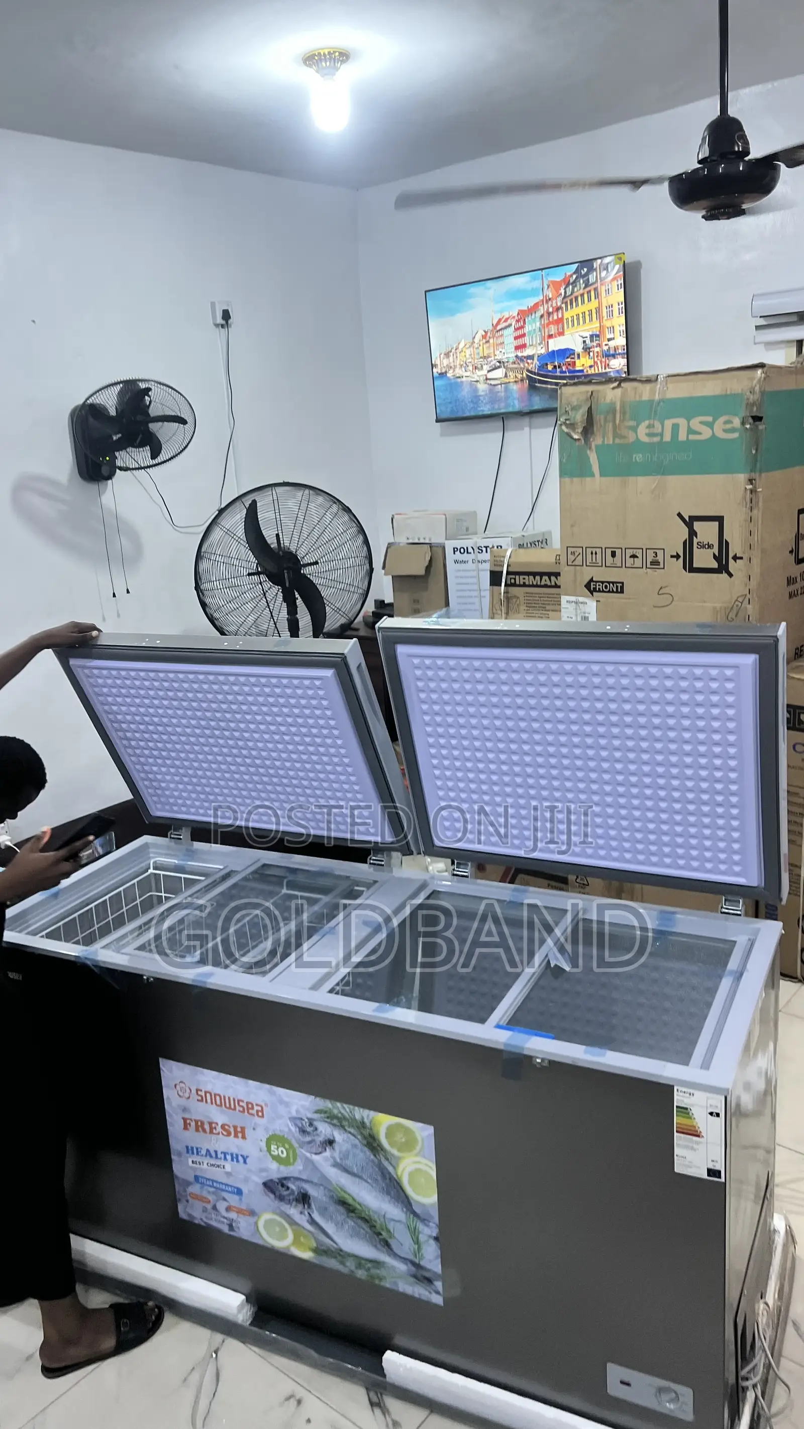 Snowsea Bd-700 520l Freezer for Restaurants