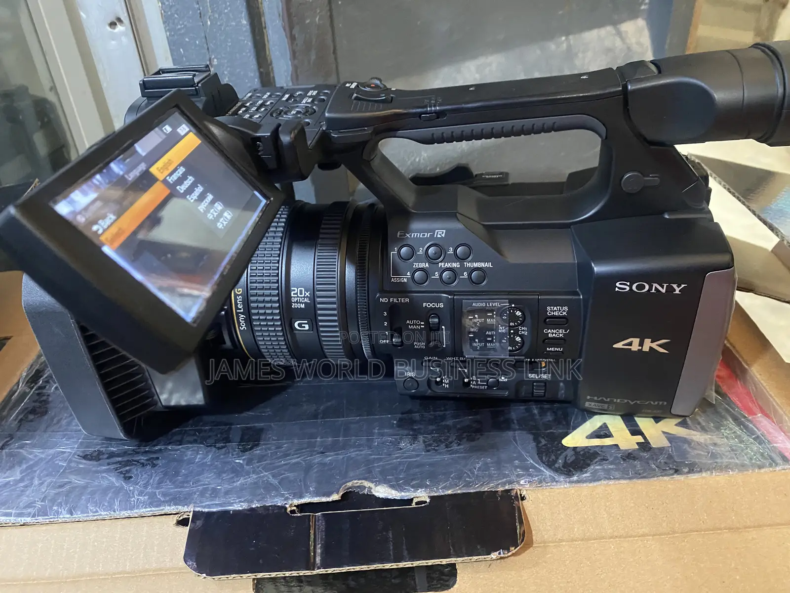 Sony Professional Video Camera Ax1e