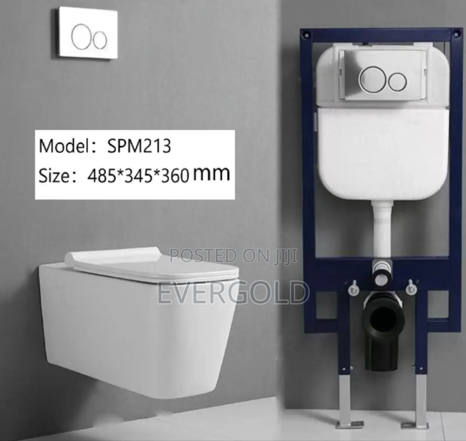 Conceal Water Closet With Complete Accessories And Sure Guaranteed
